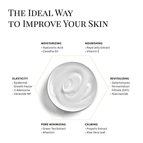 Snow White Water Glow Mask Cream | Moisturizing Sheet Free Sleeping Pack (2 Original + Brush)