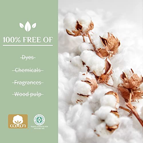 Organic Cotton Swabs - 200 Count 6 Pack, Hypoallergenic & Biodegradable