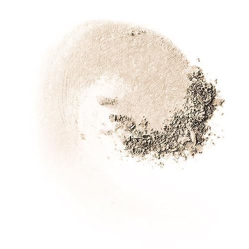 Loose Face Powder MAC Studio Fix Pro Set + Blur Light Oil Control Matte Finish
