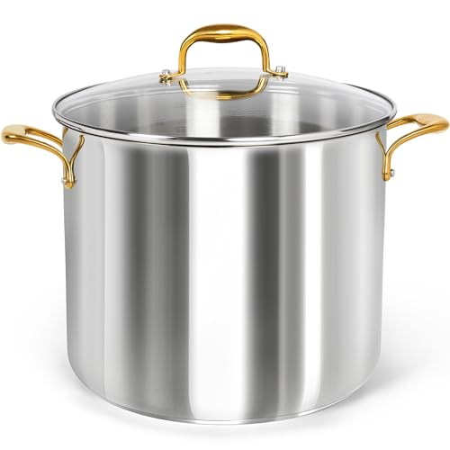 20 Quart Stainless Steel Stock Pot with Lid & Handles - Heavy Duty Cooking