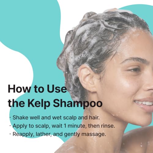 Korean Kelp Shampoo for Sensitive & Itchy Scalp - Sulfate-Free Hydrating Hair Cleanser
