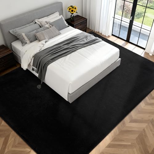 Large Black Area Rug 6x9 Ultra Soft Living Room & Bedroom Floor Mat - Rectangular