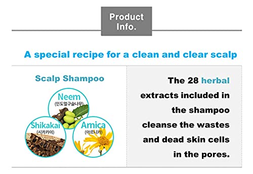 VAU Atomy Scalp Care Shampoo 16.9 Fl Oz – Gentle, Cooling Hair Wash for Whole Family