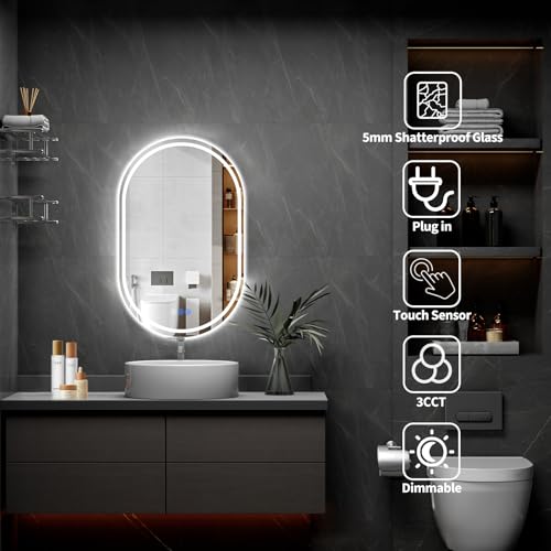 Oval LED Bathroom Mirror 20x28 Inch Frameless Lighted Mirror with Adjustable Brightness - Variation of THIS listing