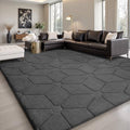 Dark Grey 6x9 Area Rug for Living Room & Bedroom - Soft Non-Slip Carpet
