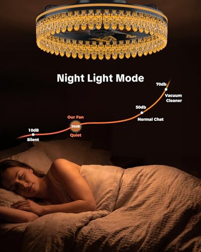 AIKVSXER 20in Modern Flush Mount Ceiling Fan with Lights & Remote