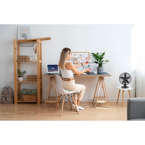 12-Inch Metal Desk Fan with Oscillation & 3-Speed Settings - Matte Black