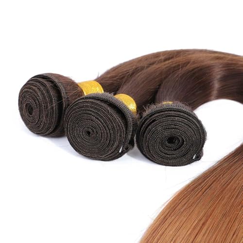 LOIUMGUU Brazilian Virgin Human Hair Bundles T4/30 Ombre Straight 12-16 Inch