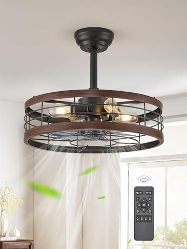 Walnut 20 Inch LEDIARY Caged Ceiling Fan with Light & Remote Control