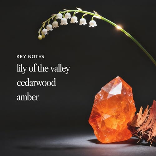 Noteworthy n,551 Amber Sunset Body Butter ? Lily of the Valley, Cedarwood & Amber | Ultra-Rich Hydrating Body Cream for Soft, Silky Skin | Luxurious Fast-Absorbing Moisturizer
