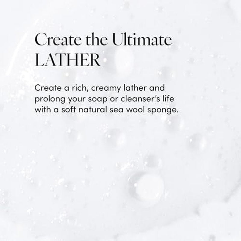 LATHER - Natural Sea Wool Sponge, 4-5" - Organic Exfoliating Body Scrubber - Soft, Gentle Cleansing - Hypoallergenic - All Skin Types - Florida Natural Loofah Sponge - Cruelty Free - Beauty & Skincare
