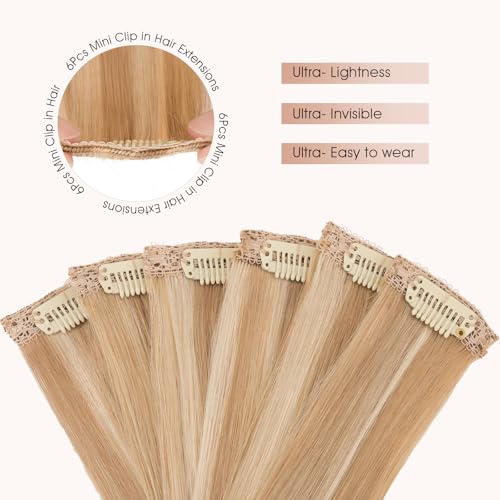 Remy Human Hair Clip-In Extensions - 6 Pieces, Highlights, 10 Inch