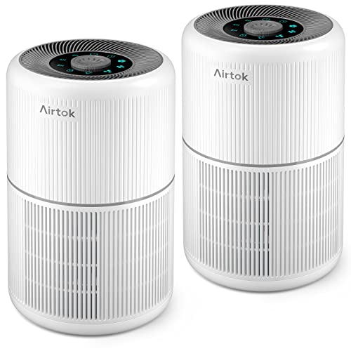 AIRTOK 2 Pack Bedroom Air Purifier with HEPA Filter for Smoke Dust Odors Pets