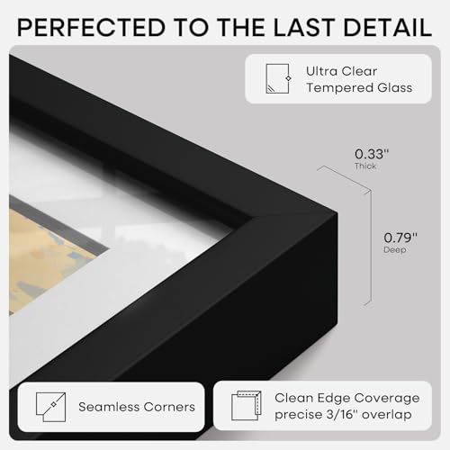 Carbon Black Homeforia 24x30 Metal Picture Frame with 18x24 Matte Mat and Glass