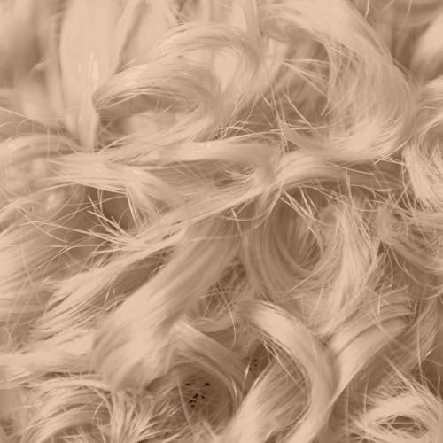 ion HL B Hi Lift Ash Blonde Permanent Liquid Hair Color