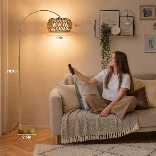 Ambimall Boho Arc Floor Lamp - Gold, Color Temp & Brightness Adjustable, Remote Control, Modern Lighting, Variation: Gold-Bohemian