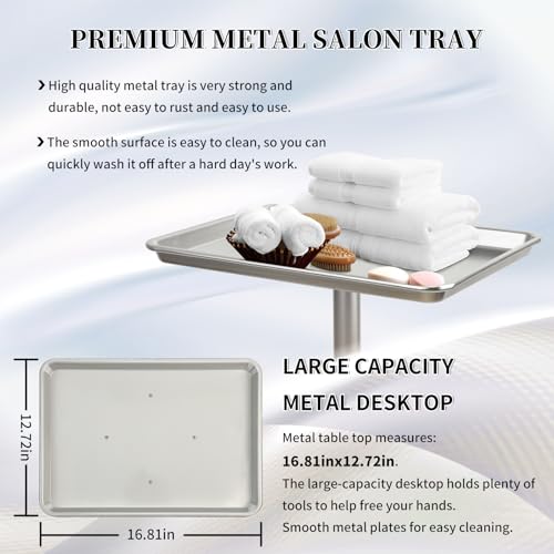 Salon Tray on Wheels, Hair Color Tray Salon Service Rolling Cart with Adjustable Height, Metal Tattoo Trolley Tray for Spa&Home Use, Silver