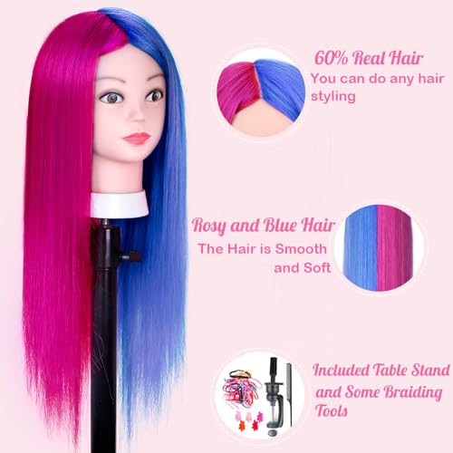 Mannequin Head with 60% Real Human Hair - Cosmetology Practice Head with Table Stand - Rosy and Blue Variation
