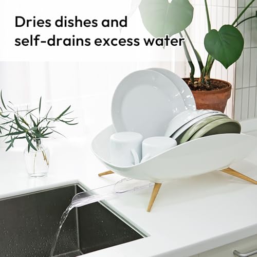 Carrotez Wide Self-Draining Dish Drying Rack - 18.7 x 12.4 Inches, White