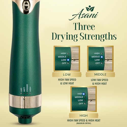 Multipurpose Hot Air Brush with Interchangeable Heads for Hair Styling