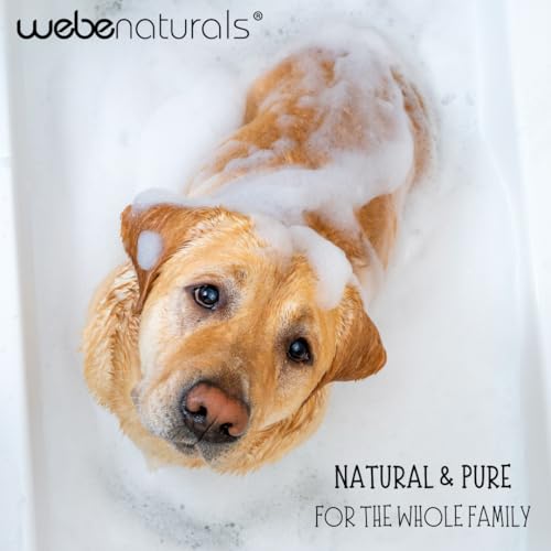 WEBE Pure Unscented Castile Liquid Soap Refill, 64 Ounce | Vegan & Gluten Free Non-GMO, For Face, Body Wash, Dishes, Pets & Laundry
