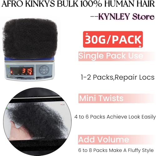 2 Pack 12 Inch Afro Kinky Human Hair Extensions for Dreadlocks & Loc Repair - Natural Black