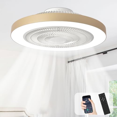 Depuley 19-Inch Gold Bladeless Ceiling Fan with Remote & App Control