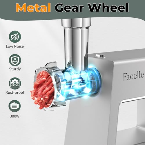 Electric Meat Grinder with Sausage Stuffer and Kubbe Maker 2000W