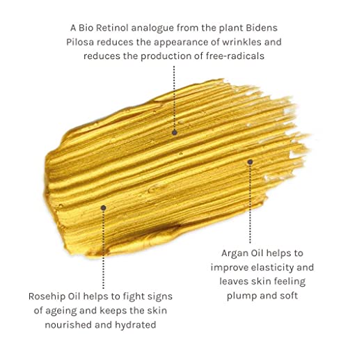 Evolve Organic Beauty - Natural Bio-Retinol Gold Face Mask | Small-Batch, Vegan Clean Beauty (2 oz | 60 mL) Packaging May Vary