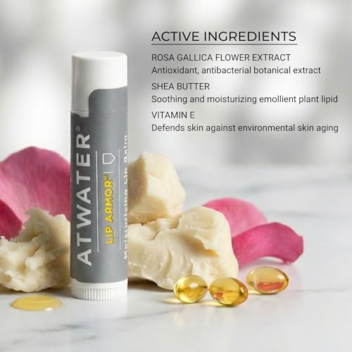 Moisturizing Lip Balm Set - 4 Pack, Long-Lasting, Low Shine, Hydrating