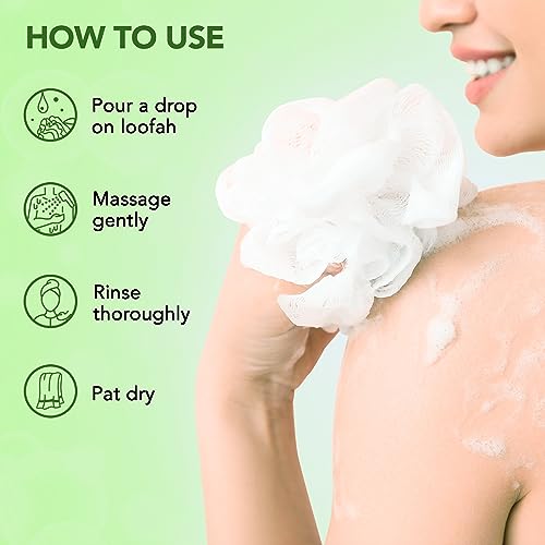 Botanic Hearth Tea Tree Body Wash & Shower Gel Pack of 2 - 16 Fl Oz Each - Refreshing & Gentle for Daily Use