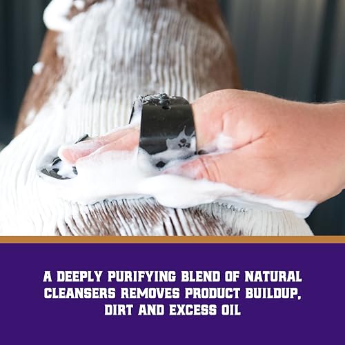 Livestock Brightening Shampoo for Horses, Pigs & Cattle - Show-Ready, Dye-Free