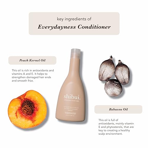 SHIBUI Peach & Babassu Oils Daily Conditioner 12 Fl Oz - Nourishing Hair Care