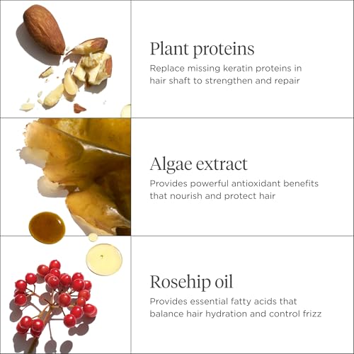 Briogeo Don't Despair, Repair! Super Moisture Shampoo, Dry Damaged Hair, Hair Shampoo with Argan Oil for Hair, Hair Moisturizer Hair Treatment, Protein Shampoo, Vegan, Cruelty-Free