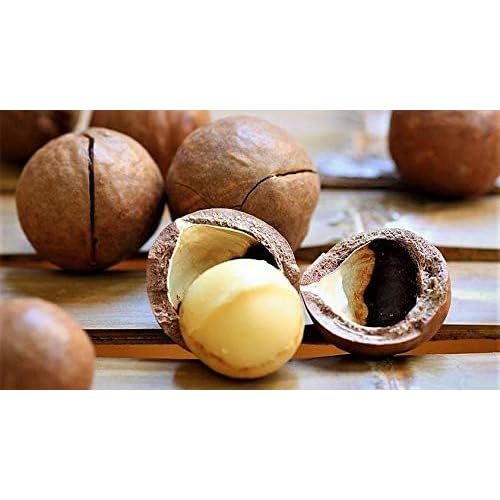 Barefoot Venus Macadamia Nut Body cream Lotion Eco-Refill 250 ML (Pink Pepper)