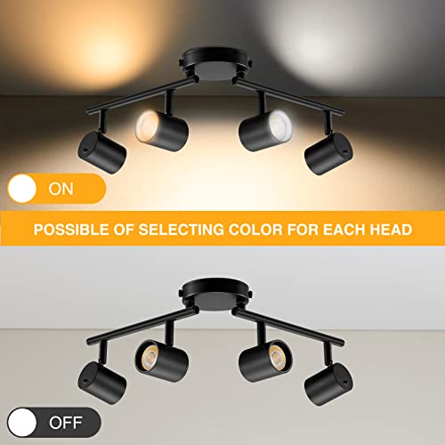 LED Track Lighting Fixtures 5-Color Adjustable Ceiling Spotlights - Black