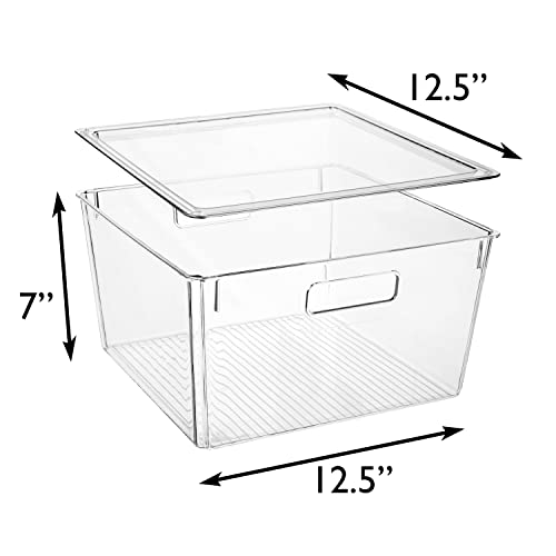 Large Plastic Storage Bins with Lids - Pantry Organizer XL 8 Pack