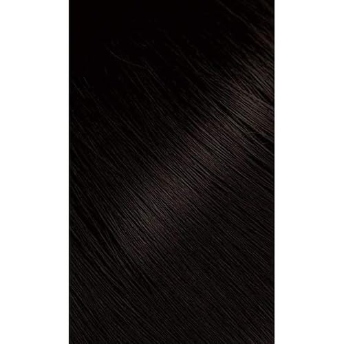 #48 Dark Chestnut Bigen Permanent Powder - 6 Pack