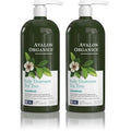 Avalon Organics Scalp Treatment Tea Tree Shampoo,Encourages Scalp Well-Being and Leaves Hair Soft,32 Fluid Ounces,(Pack of 2)