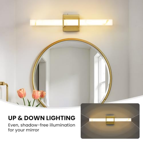 LED Bathroom Vanity Light 22 Inch Dimmable 5-Color Temp Over Mirror Fixture
