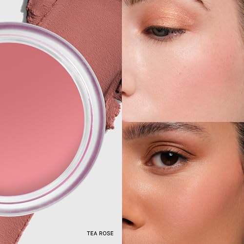 Bobbi Brown Pot Rouge Velvet Matte Whipped Cream-to-Powder Blush 0.3oz - Tea Rose