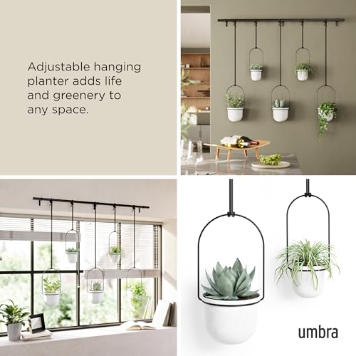 Umbra Triflora Hanging Planter Set of 5 - White and Black Indoor Window Herb Garden