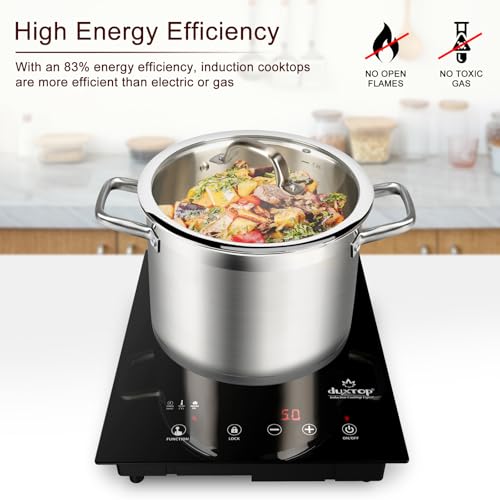 Medium Portable Built-in Induction Cooktop 1800W - Duxtop