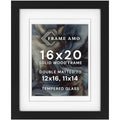 Frame Amo 16x20 Black Gallery Frame with Tempered Glass, Mats & Wood Finish - Signature Edition