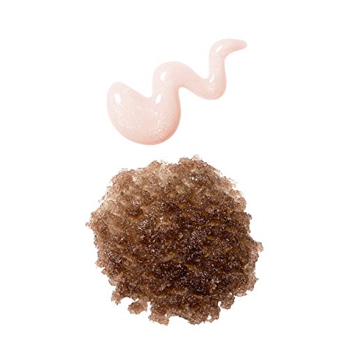 Sara Happ Lip Scrub & Shine Kit - Exfoliating Lip Treatment Set