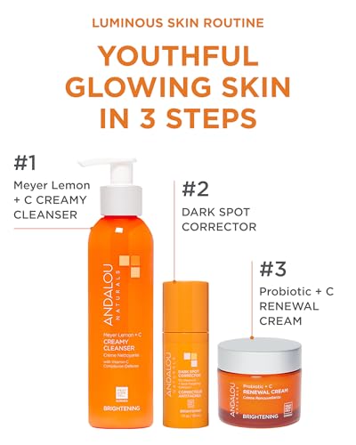 Andalou Naturals Vitamin C Dark Spot Corrector Serum - 1 fl oz