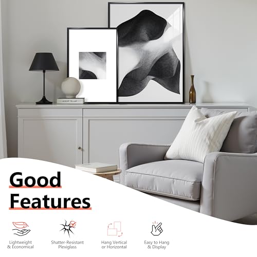 24x36 Poster Frame Set of 5 - Black Gallery Wall Frames for Photos & Art