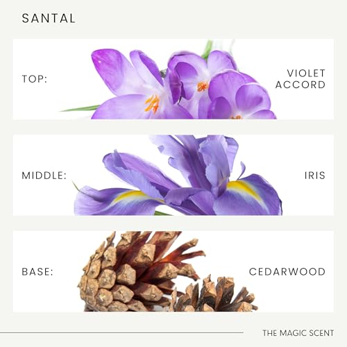 Santal Diffuser Oil - 8.5 Fl Oz | THE MAGIC SCENT, Premium Home Fragrance