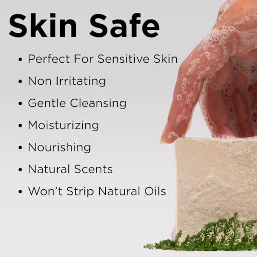 Sumbody USA Cold Process Soap Variety 6 Pack - Handmade, Natural & Moisturizing