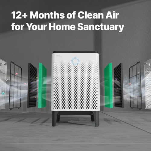 Airmega 300/300S Replacement Filter Set with HEPA and Activated Carbon - Filter